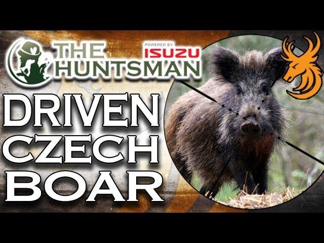 EPIC Driven Wild Boar Hunt in the Czech Republic