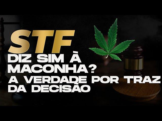 STF julga descriminalização do porte da maconha - AlfaCon