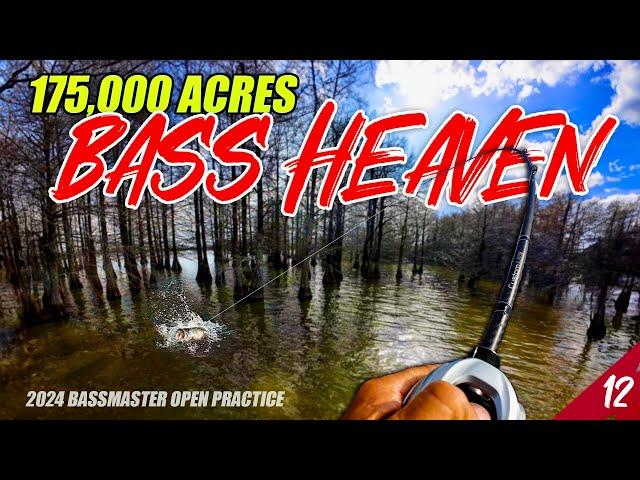 175,000 Acres of BASS HEAVEN - Bassmaster Open Santee Cooper (Practice) - UFB S4 E12