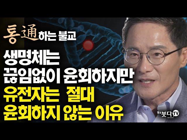 생명체는 끊임없이 윤회해도 유전자는 절대 윤회하지 않는 이유 | 통하는 불교 11회 윤회 유전자 이야기 과학 불교