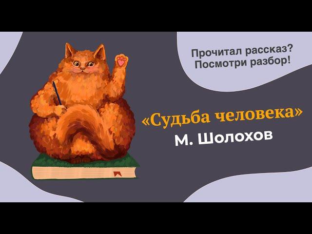 Разбор рассказа "Судьба Человека" М. Шолохова