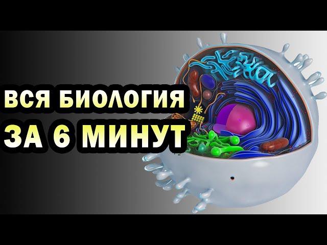 Изучить биологию за 360 секунд