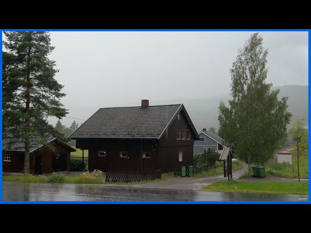 Sound of rain and thunderstorms | For sleep, rest, study and meditation [Thunder and Rain]