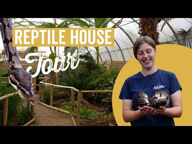 Reptile House Tour at Jimmy's Farm