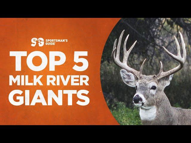 Top 5 Giants Bucks | Milk River Whitetails | Monster Buck Moments Presented by Sportsman's Guide