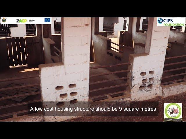 Advantages of low cost pig housing