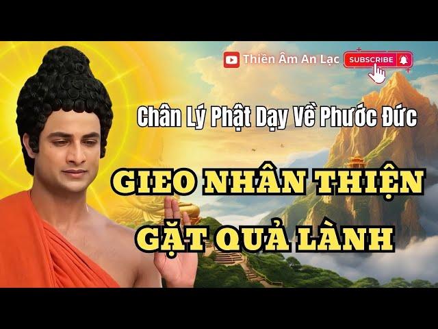 Gieo Nhân Thiện, Gặt Quả Lành: Chân Lý Phật Dạy Về Phước Đức