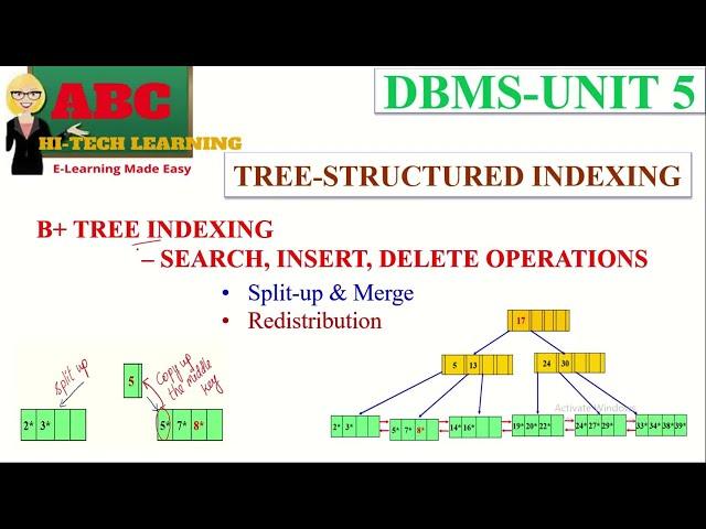 B+ TREE in DBMS