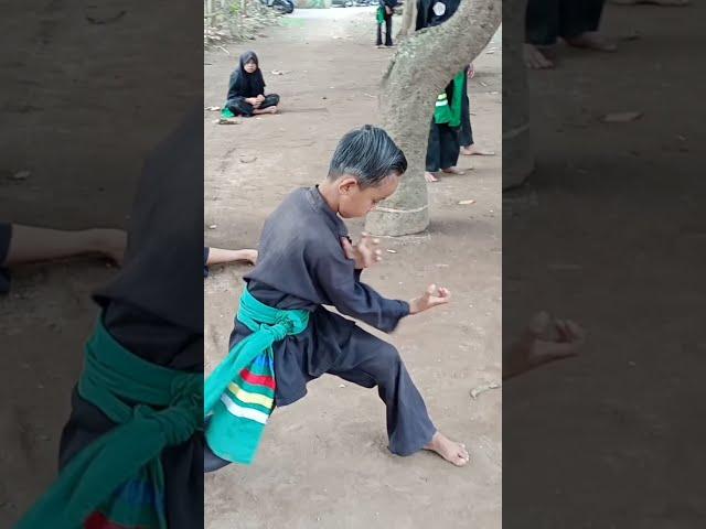 BOCIL LATIHAN SILAT HARIMAU@pagarnusarantingsukowono