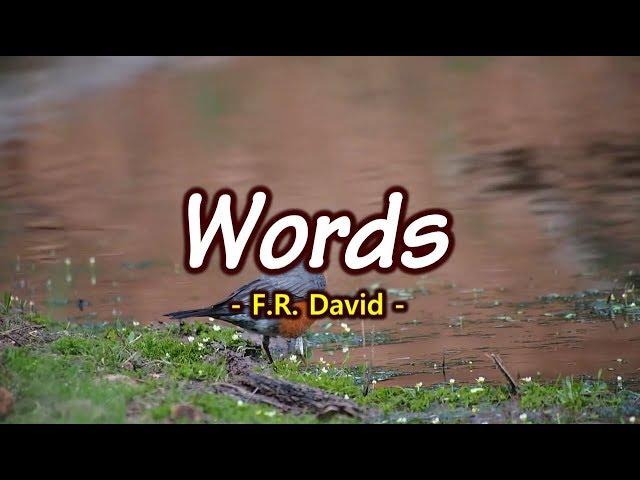 Words - F.R. David (KARAOKE VERSION)