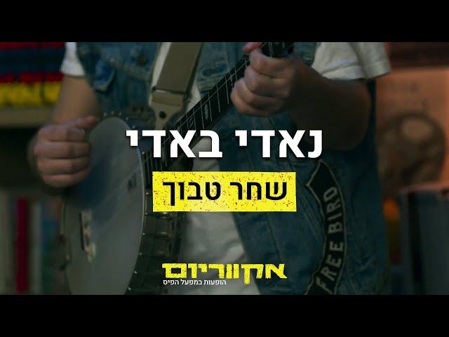 אקווריוום- שחר טבוך | נאדי באדי