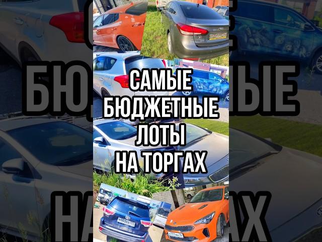 Самые выгодные лоты на торгах! Тгк goryachov