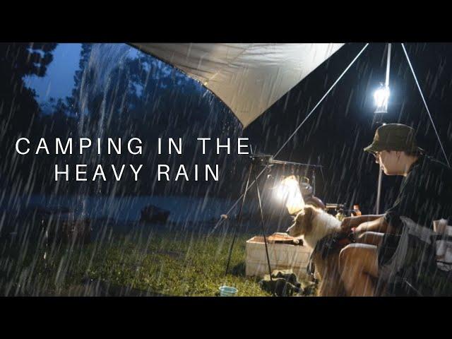 Camping in the heavy rain. Not SOLO camping. Sounds of camping. ASMR