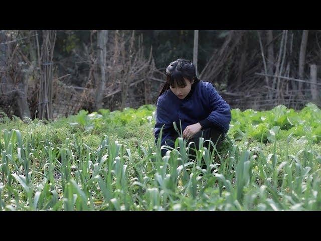 Laba congee, the heavy fragrance will stick to the chopsticks一碗腊八粥，黏得住筷子的浓香，暖心又暖胃 | Liziqi channel