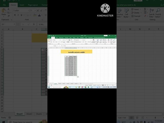 Excel tricks - autofit  #excel #tips_and_tricks #msexcel #microsoft #dataentry