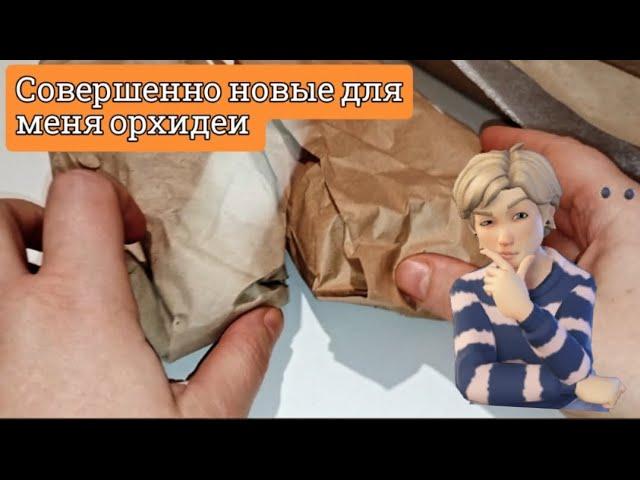 Орхидеи- хотелочки ️