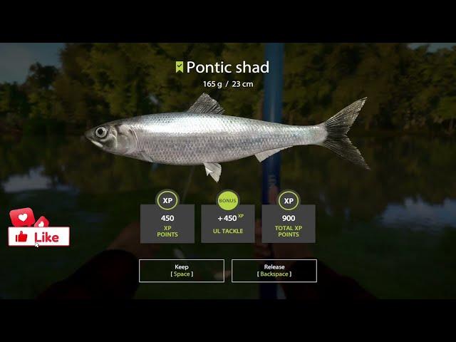 RUSSIAN FISHING 4 SHAD SPOTS SEVERSKY DONETS RIVER