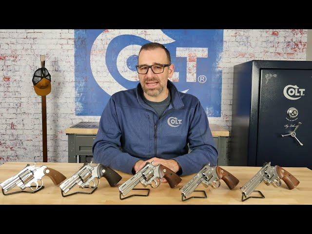 Colt Topic Tuesday | Python Family