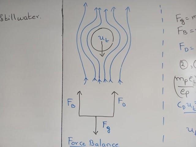 Lec 20: Terminal Settling Velocity of Particle in a fluid (Derivation/Example  stokes/Newtons Law)