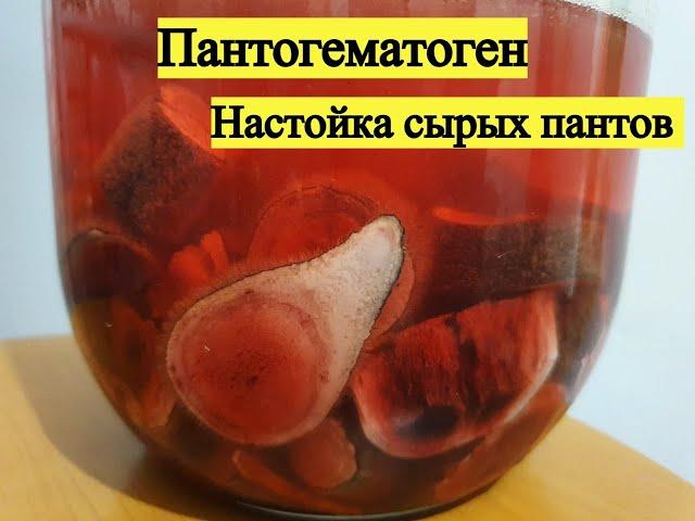 Пантогематоген. Настойка сырых Пантов.