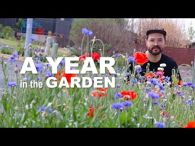 A Year in the Garden • A Diary of Changing Seasons