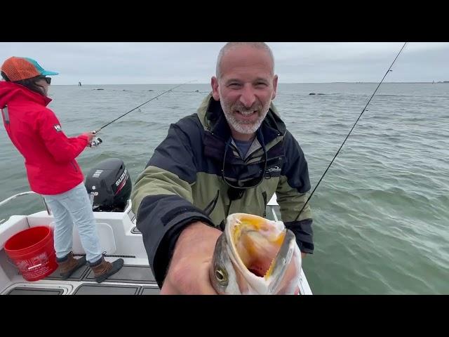 How to Fish for Chesapeake Bay Speckled Trout