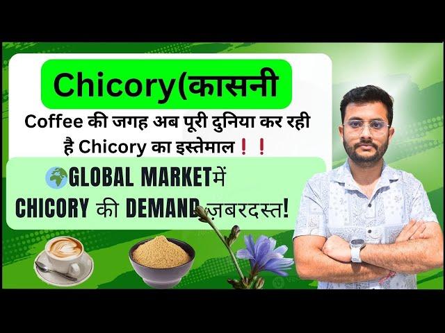 Export Chicory from India  | The Healthier Coffee Alternative | Step-by-Step Guide | CIES