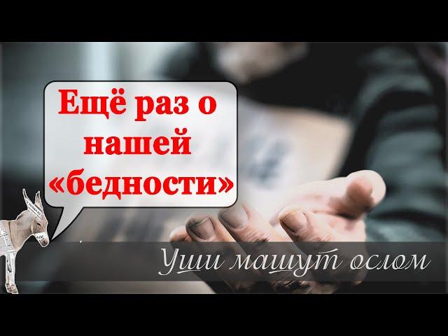 Ещё раз о нашей «бедности»  | Уши машут ослом (97)