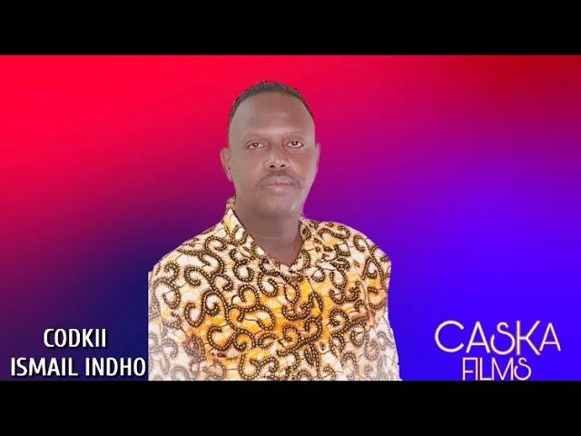 ISMAIL INDHO | XAAWALAYDU KAA BADAN | New Somali Music 2020