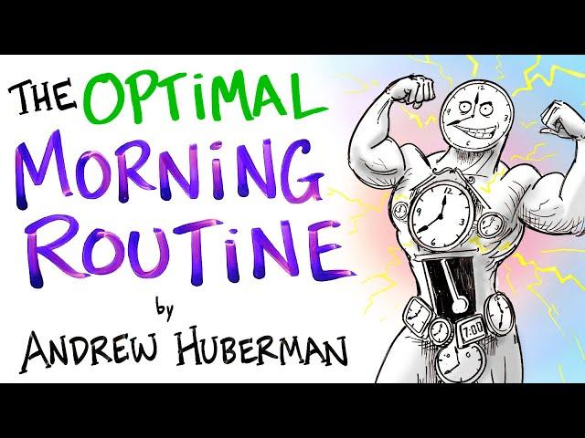 The Optimal Morning Routine - Andrew Huberman