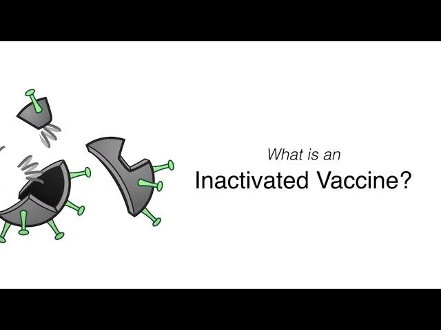 What is an Inactivated Vaccine?