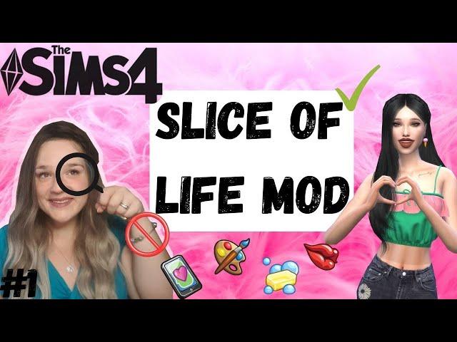 Endlich sind deine Sims so REALISTISCH wie noch NIE - Der Slice of Life Mod 2022│Sims 4 │PRO+CONTRA