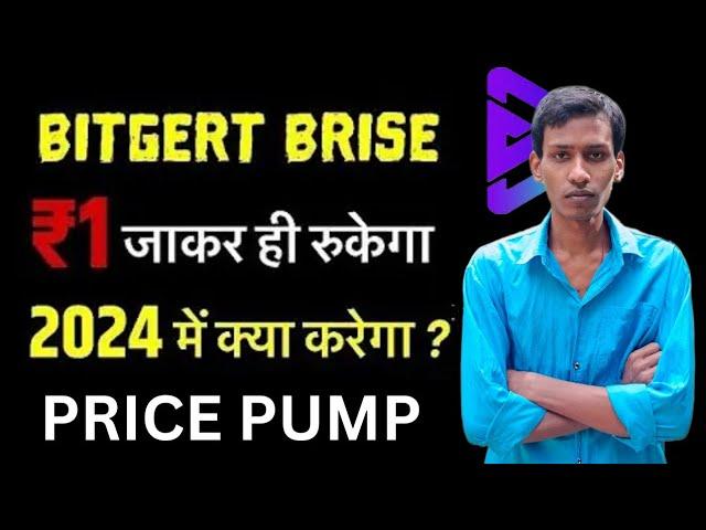 BRISE Best Coin 2024 | Bitgert Supply Burn | BRISE Coin ₹1 | Binance Listing | Price Pump