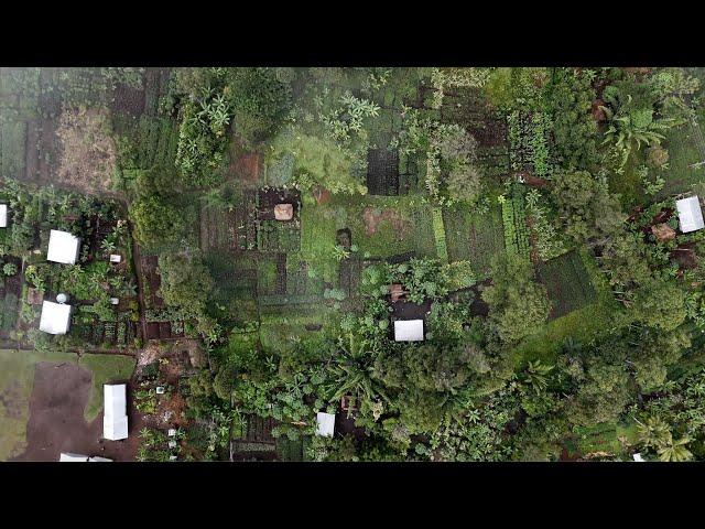 Papua New Guinea || Drone Footage