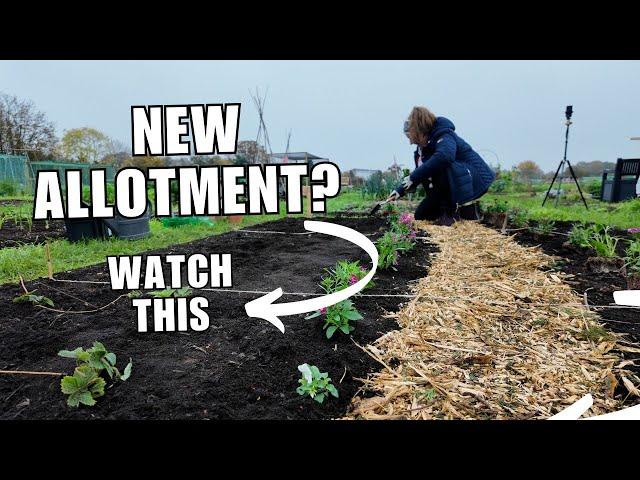 Tips for starting your first allotment - Beginners' guide for Day One.