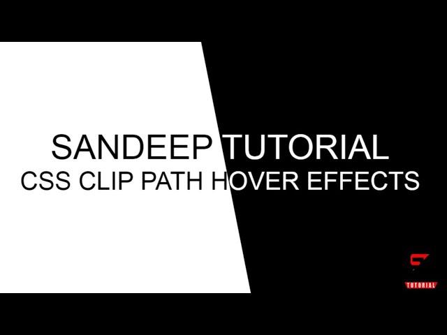 CSS Clip-Path Text Hover Effects | Html CSS