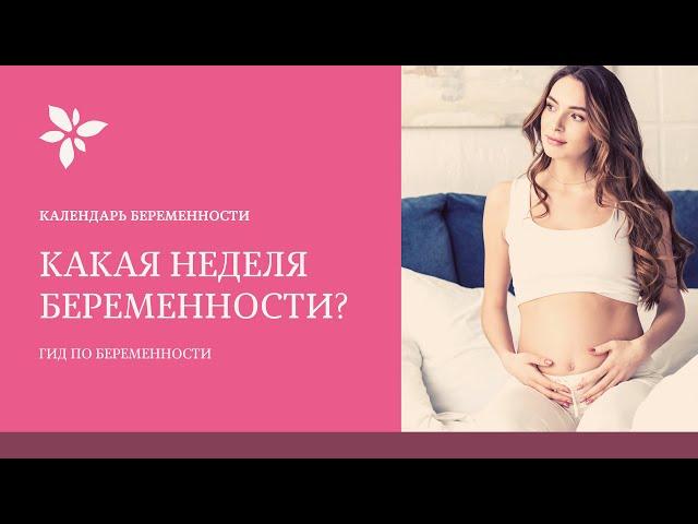 Срок Беременности Какая Неделя Беременности ?