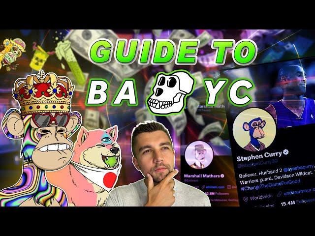 Guide to Bored Ape Yacht Club BAYC the BEST NFT Collection