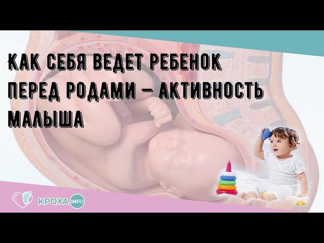 Как себя ведет ребенок перед родами — активность малыша