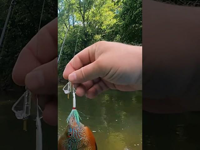 Ultralight Buzzbait