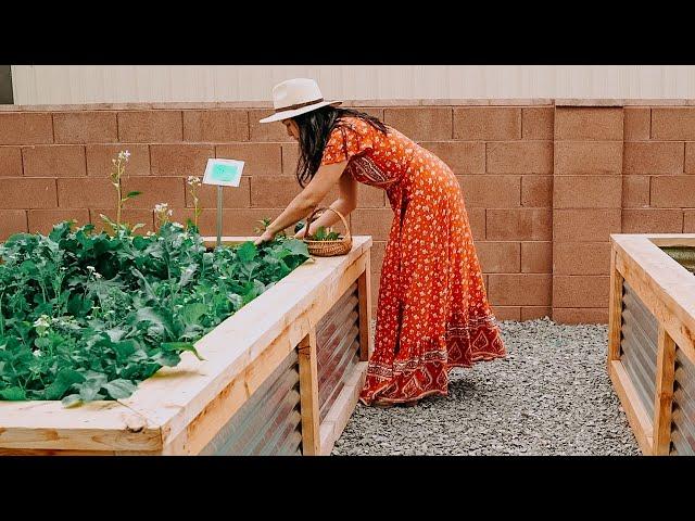 Tiny Home Rental  | My first Garden!