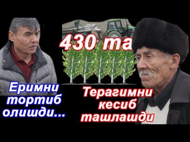 Отахонга нохақлик ... ер ва тераклар қани?