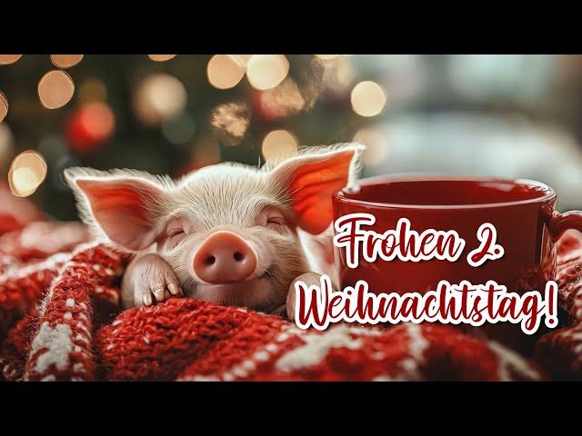 Grüße zum 2. Weihnachtstag Weihnachtsgrüße  Whatsapp Video kostenlos 