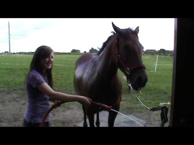 I like it like that- Photo and Video shoot with my horse!