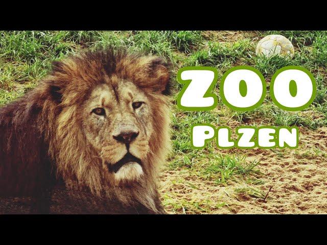 Pilsen Zoo and Botanical Garden  One of the most visited tourist destinations in the Czech Republic