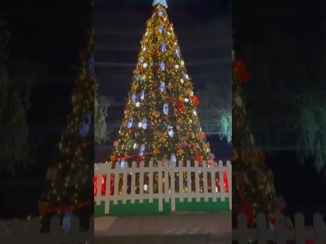 Christmas in Heraklion Crete #Crete #2024 #fy #fyp #Greece