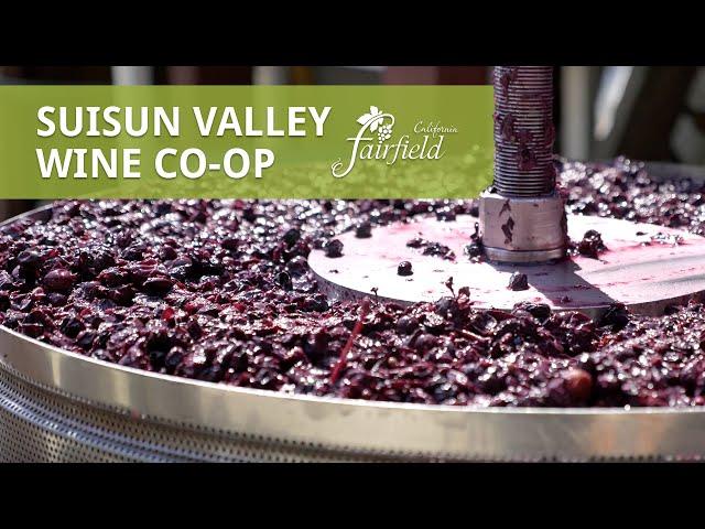 Discover the Suisun Valley Wine Co-op - Fairfield, CA