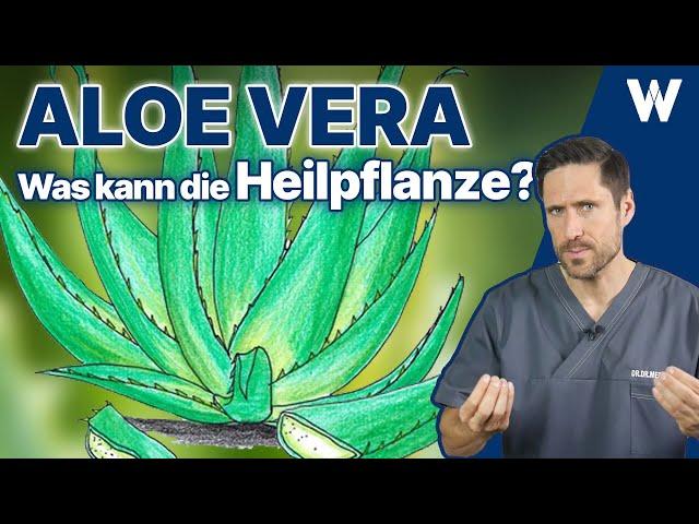 Aloe Vera: Mehr als Marketing? Die Heilpflanze im Praxischeck: Wirkung und Risiken aufgedeckt!