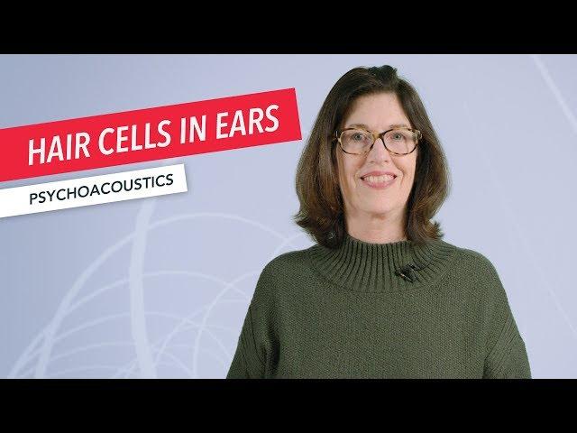 Psychoacoustics: Hair Cells in Ears are Analog-to-Digital Converters | Susan Rogers | Berklee Online