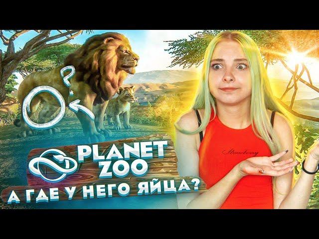 ГДЕ ЯЙЦА У ЛЬВА?! ОТКРЫЛА СВОЙ ЗООПАРК ► Planet Zoo